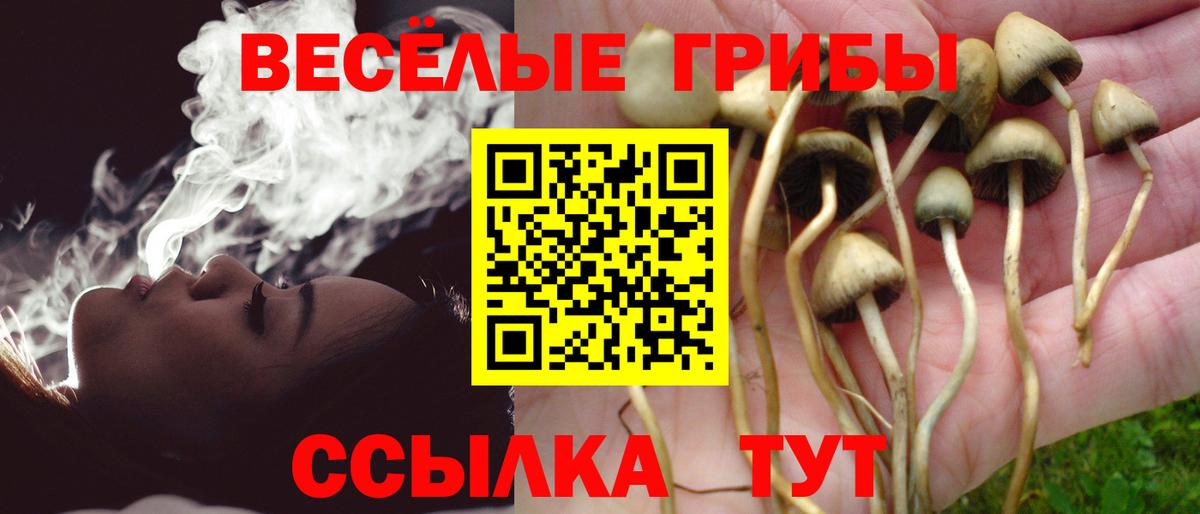 дарнет шоп  Псилоцибиновые грибы MAGIC MUSHROOMS  Вход с VPN  Новоуральск 